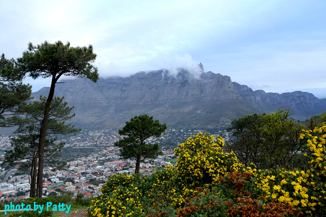 table mountain